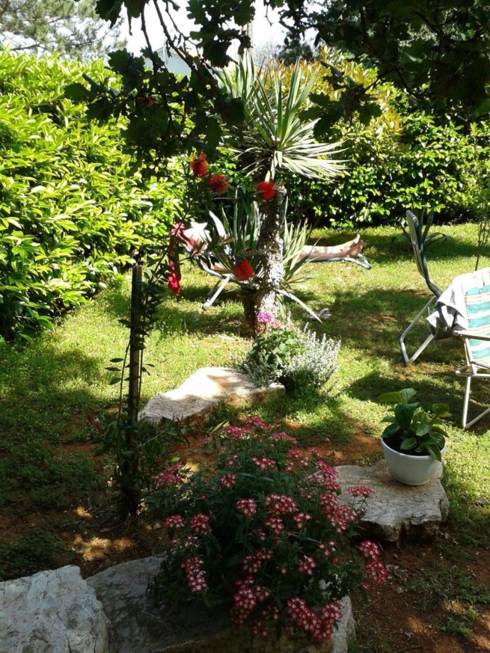 Apartments Mar مالينسكا المظهر الخارجي الصورة