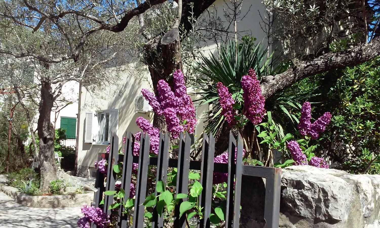 Apartments Mar مالينسكا المظهر الخارجي الصورة